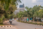 View this ad