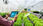 View this ad