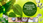 View this ad