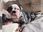 View this ad