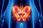 Annonce ansehen