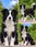 View this ad
